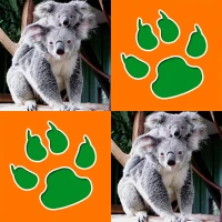 Animals Memory Game