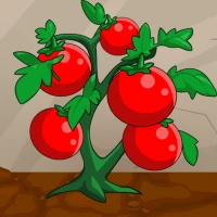 Idle Tomato Factory Tycoon