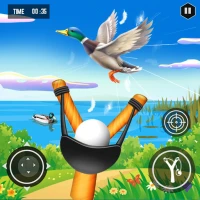 Bird Shooting: Slingshot Games