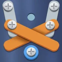 Nuts and Bolts Puzzle