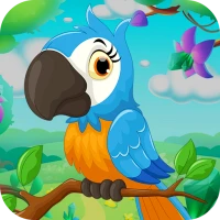 Bird Sort Match