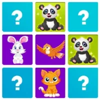 Pair Match - Brain Puzzle