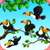 Bird Sort Game