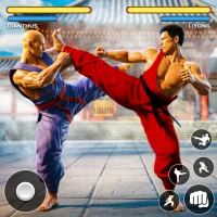 Kung Fu Gym Fighting