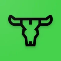 Bulls And Cows: Break the code