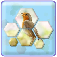 Hexa Jigsaw Puzzle