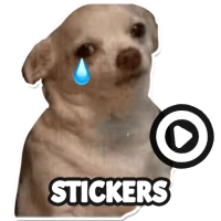 Dog meme sticker WAStickerApps
