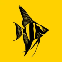 FishGuru AI Aquarium Companion