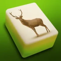Mahjong Solitaire 3D : Quest