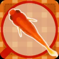 Goldfish scooping festival