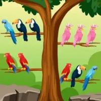 Bird Sort - Color Puzzle Games