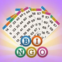 Classic Bingo Game