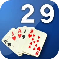 29 Card Game