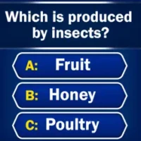 Trivia - Quiz Games