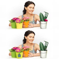 Find The Difference - Hobby
