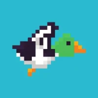 Duck 'N' Cover: Endless Runner
