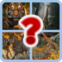4 Pics 1 Word-Puzzles