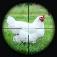 Chicken Hunting Sniper 3D