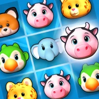 Connect Match Puzzle