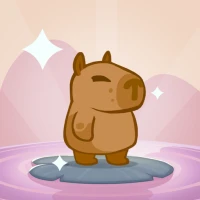 Dash Splash: Pet Adventure