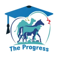 The Progress