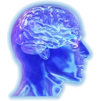 Memory Test