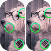 Spot the Difference Delight